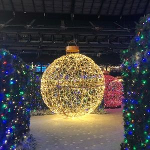 Meet your Posher, Lilly